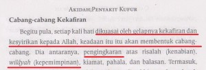 cabang-kekafiran-syiah
