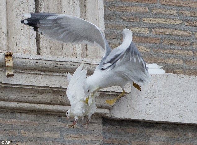 merpati1